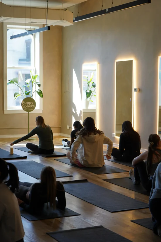 Wellness Puppy Yoga - Image 6