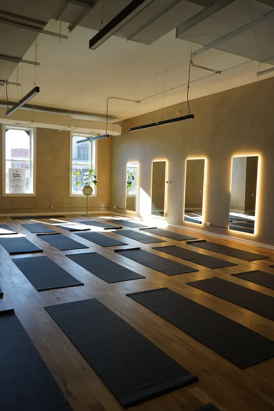 Wellness Puppy Yoga - Image 5